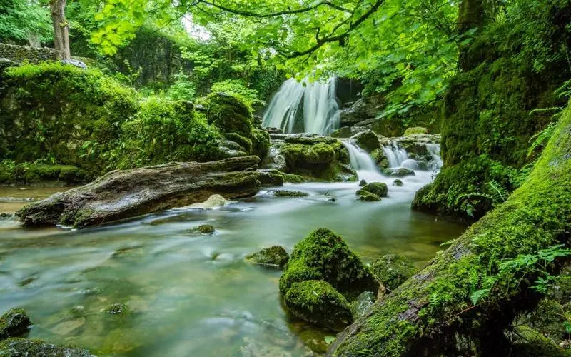 智能智能高性能